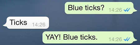 Whatsapp Blue Ticks